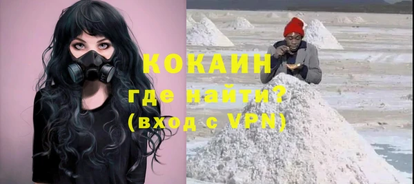 винт Ельня