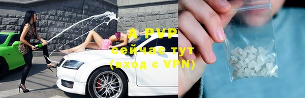 винт Ельня