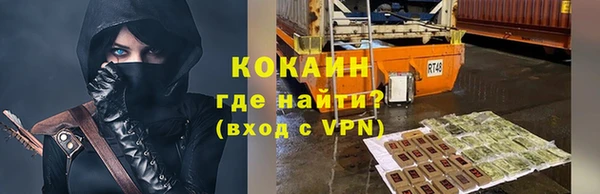 винт Ельня