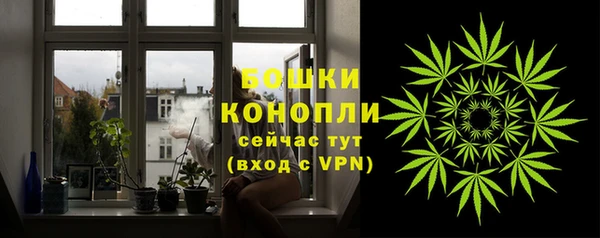 винт Ельня