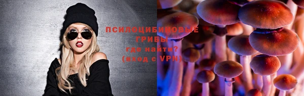 прущий лед Елизово