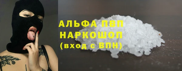 винт Ельня