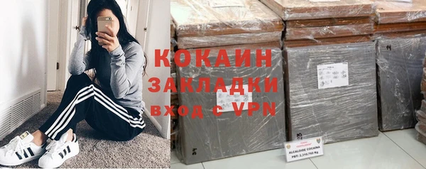 винт Ельня
