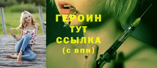 винт Ельня